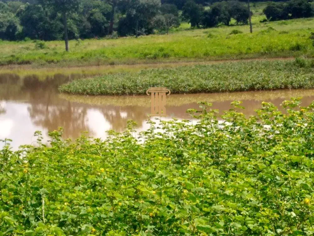 Fazenda, 4 m² - Foto 4