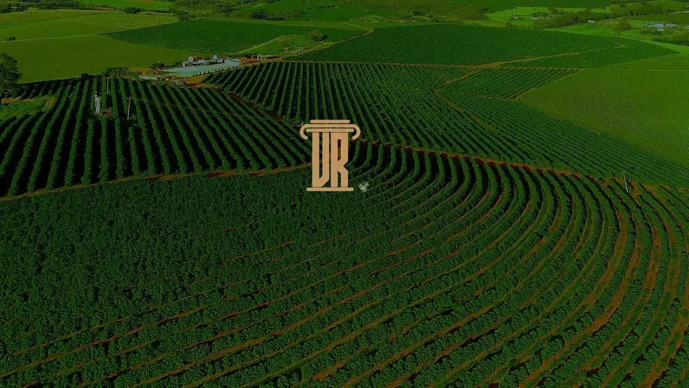 Fazenda, 40 m² - Foto 4