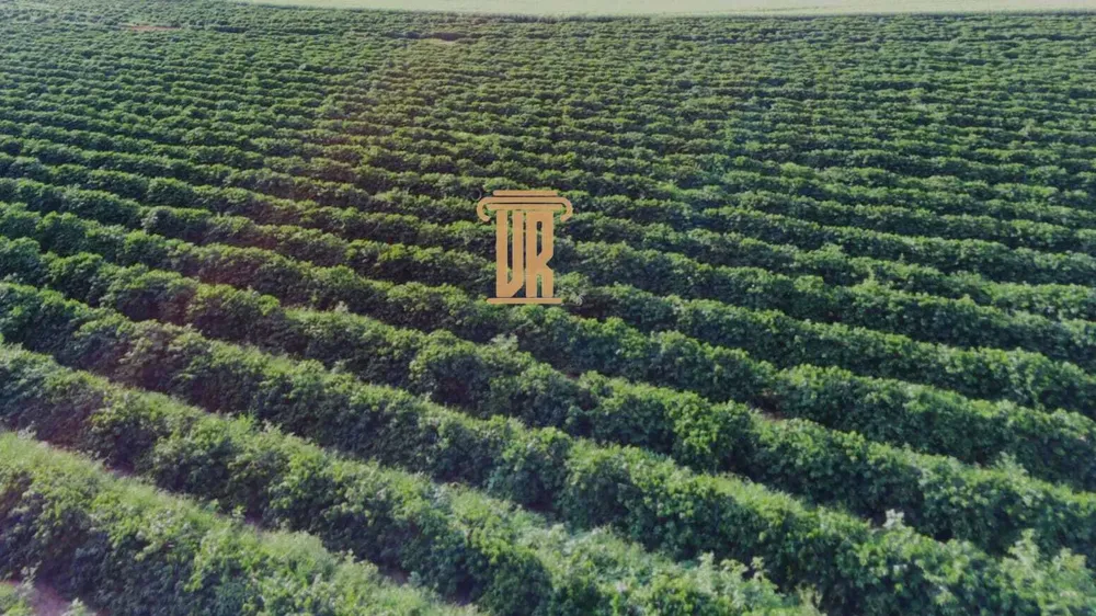Fazenda, 40 m² - Foto 3