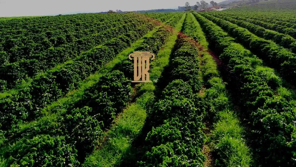 Fazenda, 40 m² - Foto 2