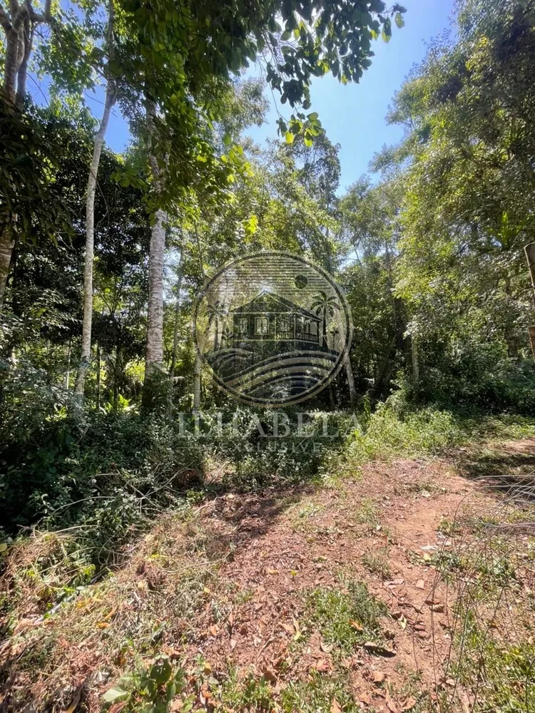 Terreno, 1 hectares - Foto 7