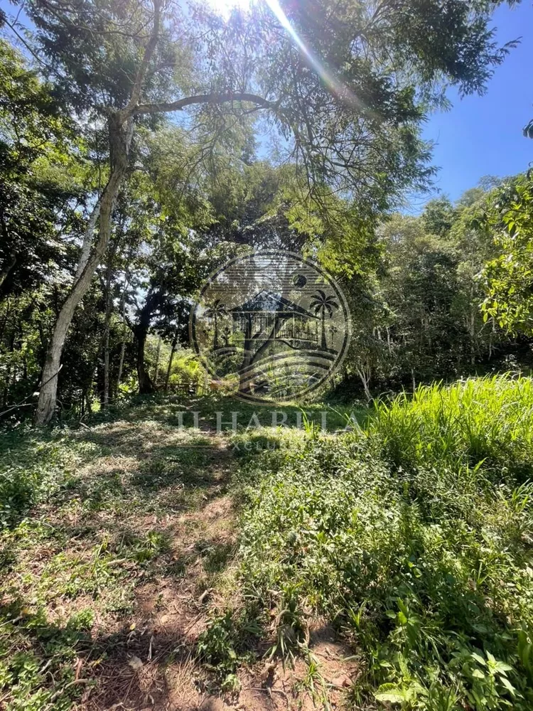 Terreno, 1 hectares - Foto 4