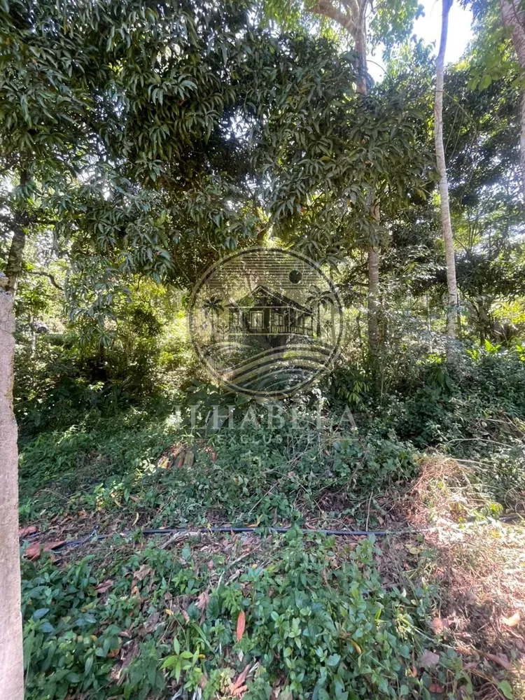 Terreno, 1 hectares - Foto 3