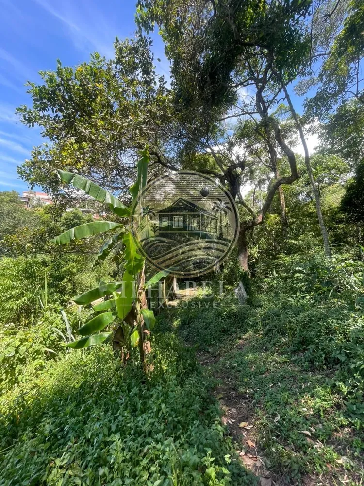 Terreno, 1 hectares - Foto 8