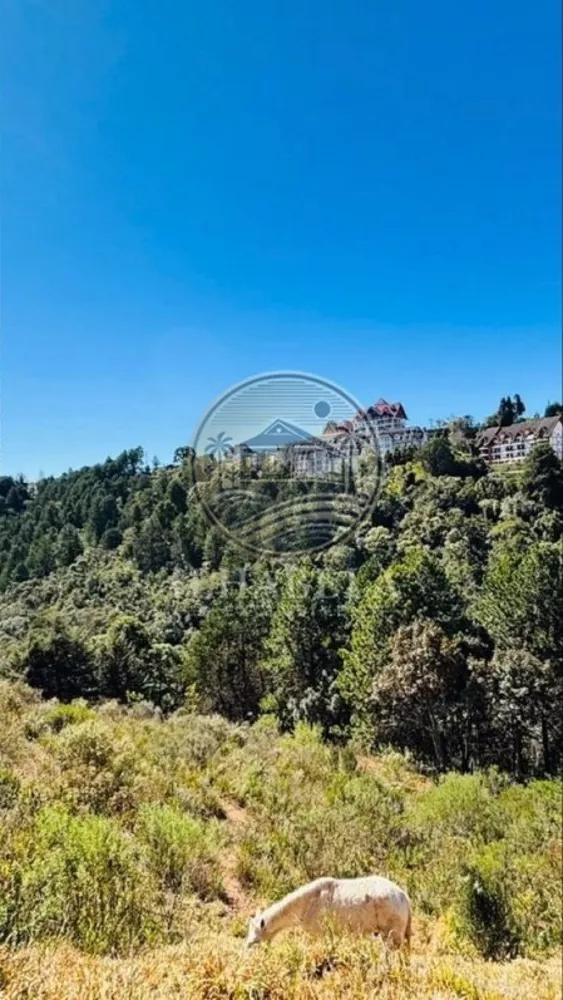 Terreno, 5024 m² - Foto 2