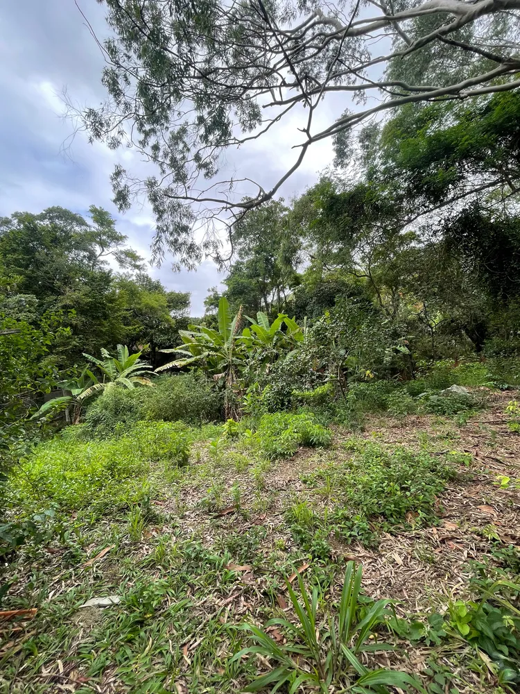 Loteamento e Condomínio, 1500 m² - Foto 6