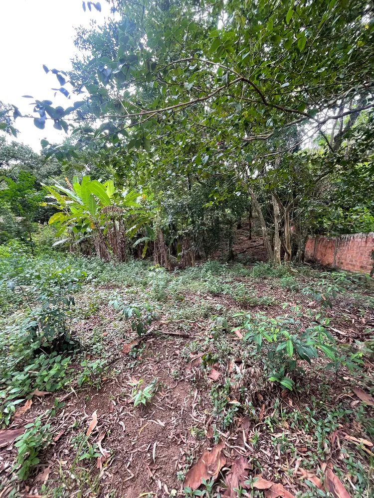 Loteamento e Condomínio, 1500 m² - Foto 5
