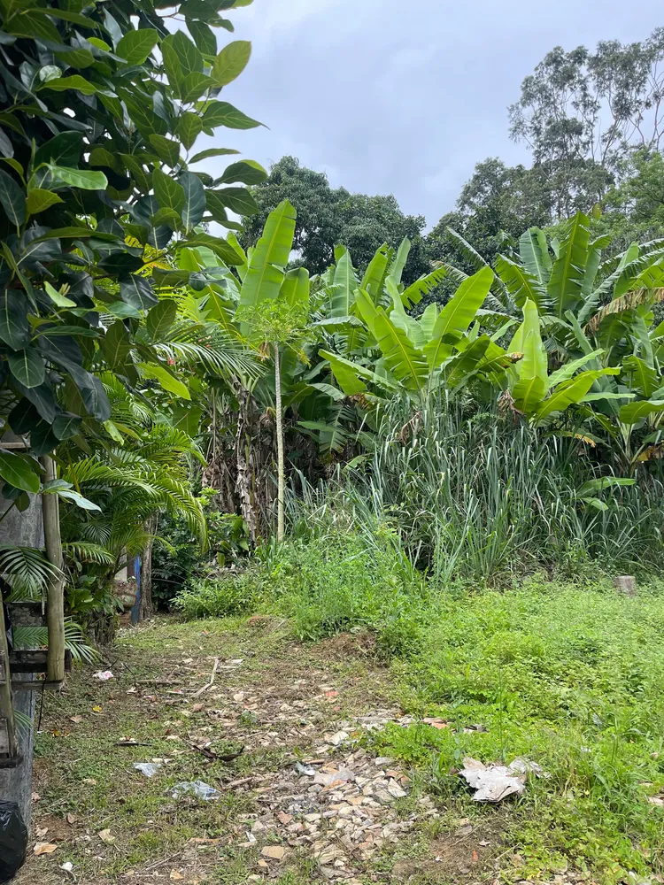 Loteamento e Condomínio, 1500 m² - Foto 8