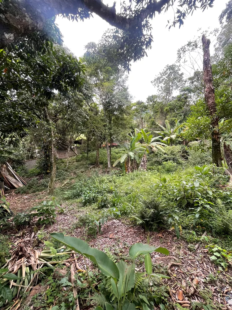 Loteamento e Condomínio, 1500 m² - Foto 3