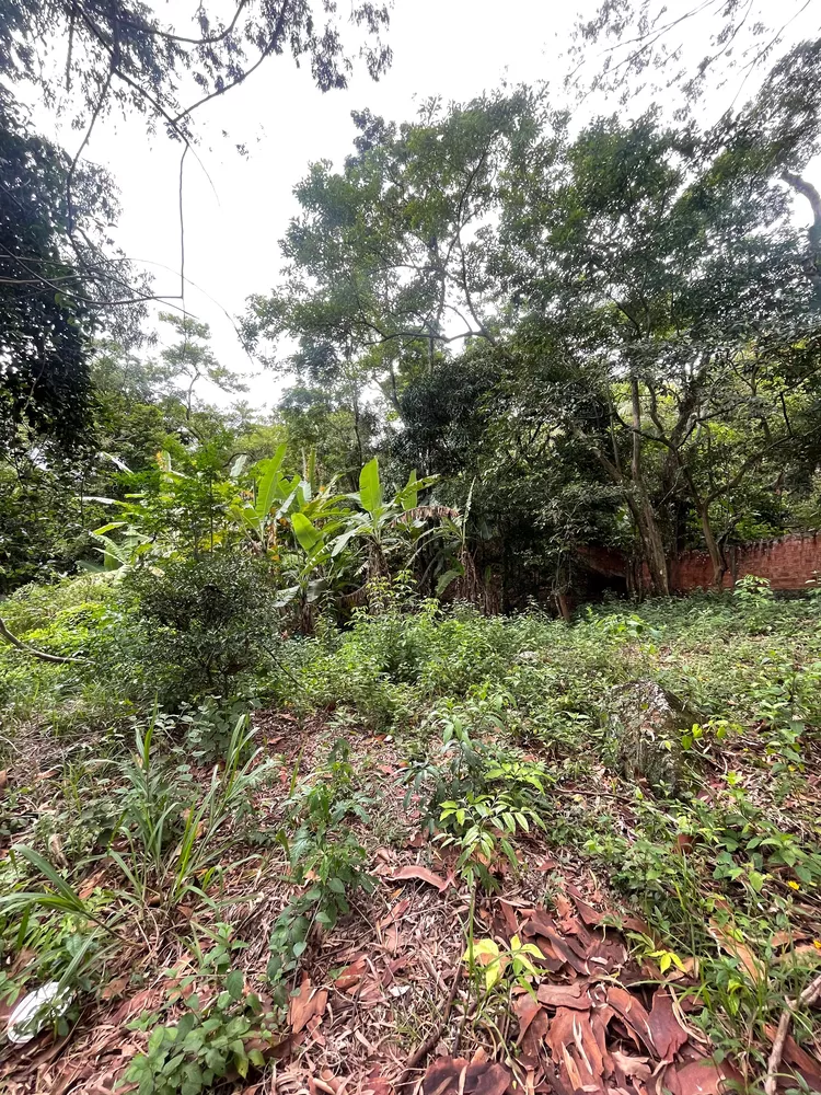 Loteamento e Condomínio, 1500 m² - Foto 2