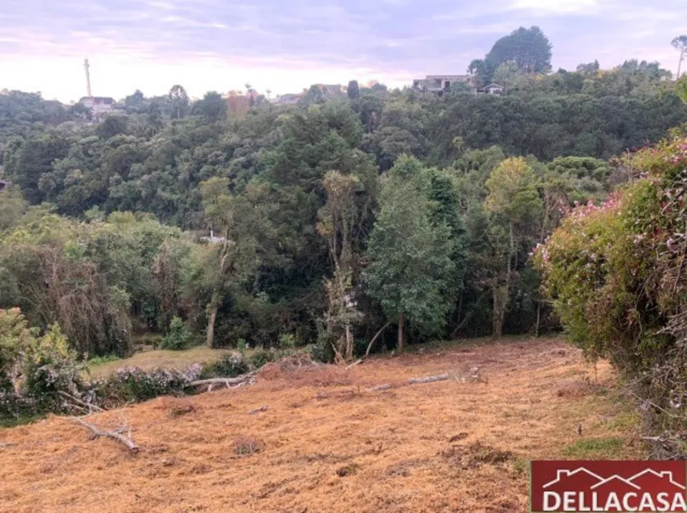 Terreno, 1022 m² - Foto 1