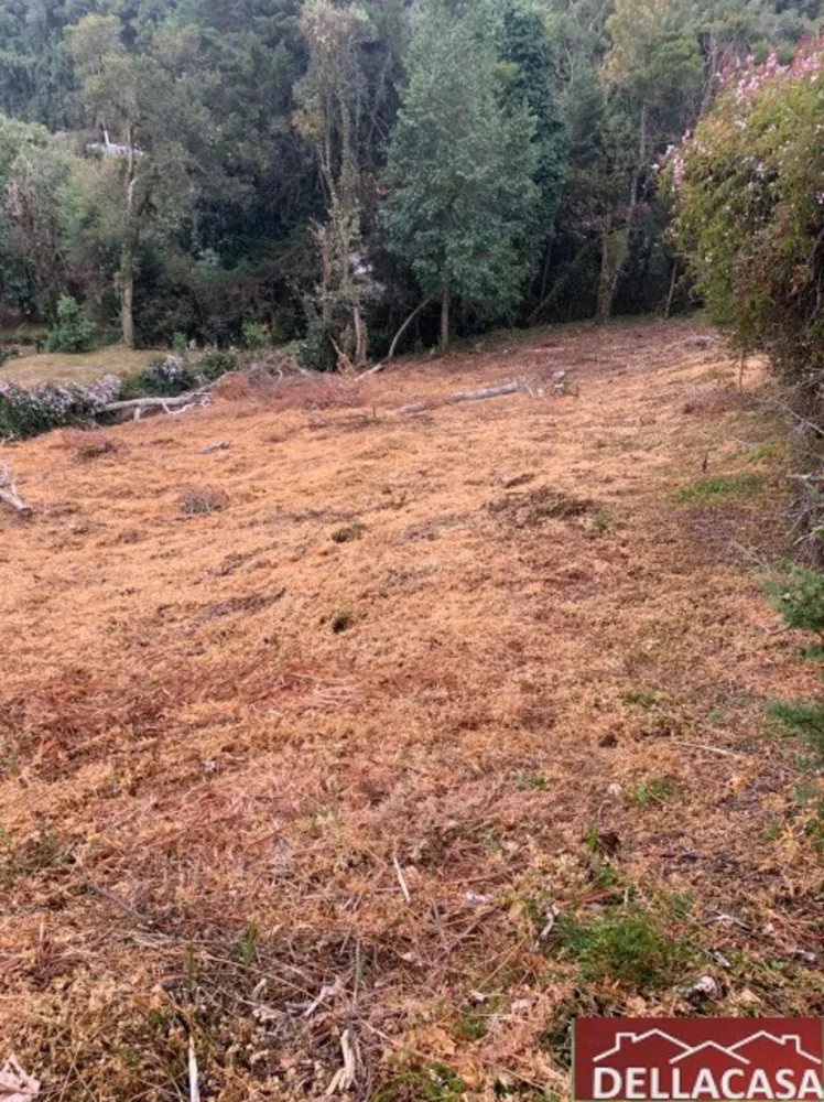 Terreno, 1022 m² - Foto 4