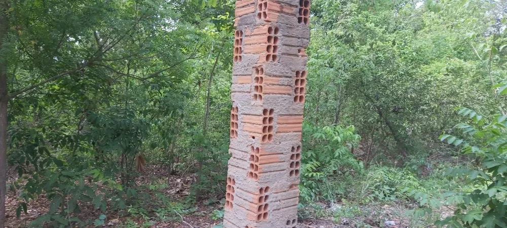 Chácara, 5 quartos, 9193 m² - Foto 7