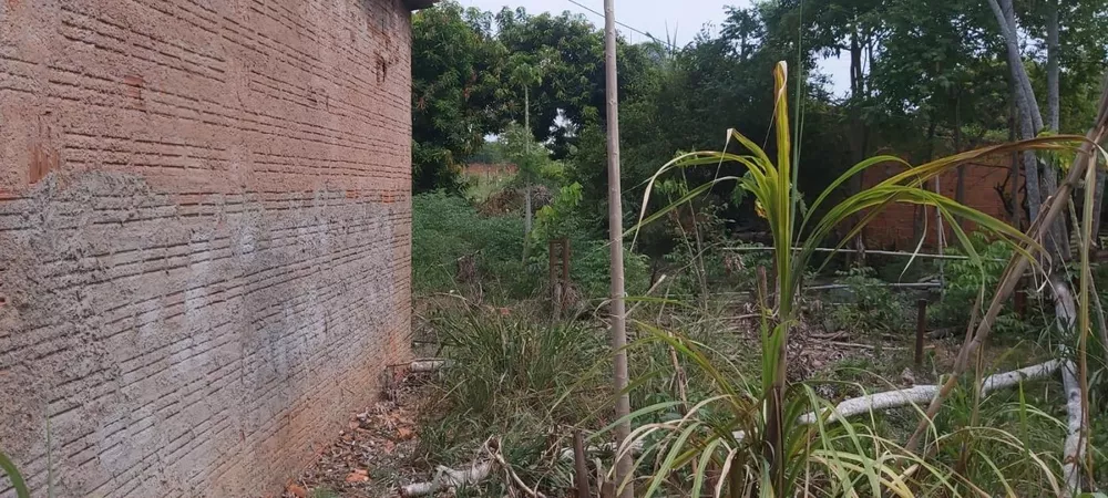 Chácara, 5 quartos, 9193 m² - Foto 8