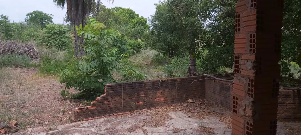 Chácara, 5 quartos, 9193 m² - Foto 2