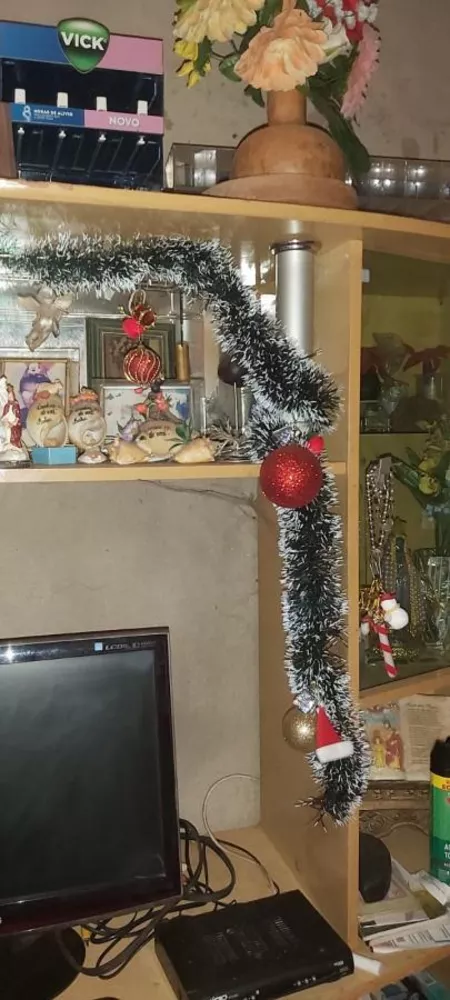 Chácara, 5 quartos, 9193 m² - Foto 3