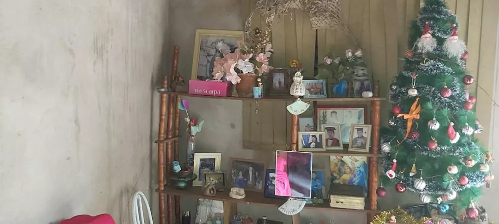 Chácara, 5 quartos, 9193 m² - Foto 4