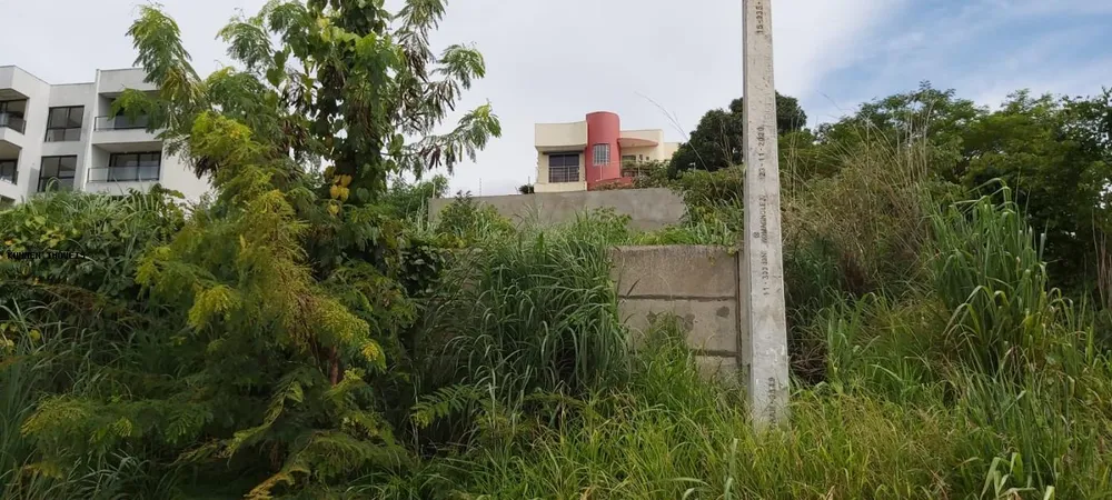 Terreno, 1440 m² - Foto 11