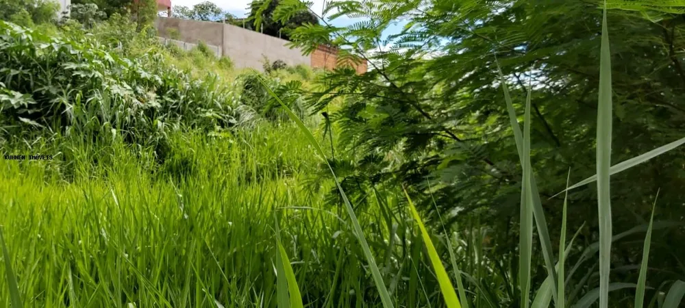 Terreno, 1440 m² - Foto 3