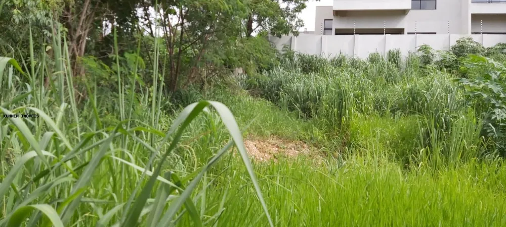 Terreno, 1440 m² - Foto 4