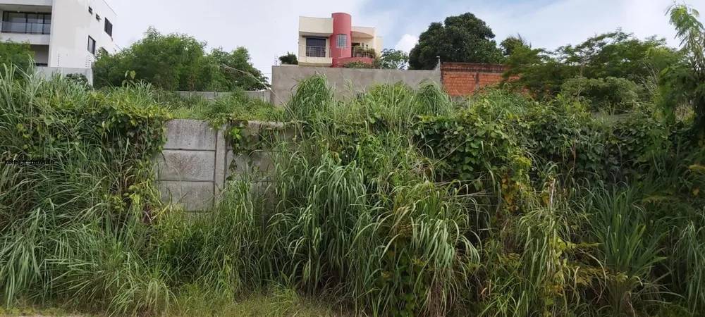 Terreno, 1440 m² - Foto 9