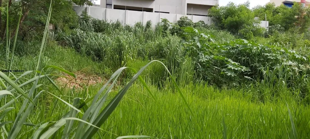 Terreno, 1440 m² - Foto 6