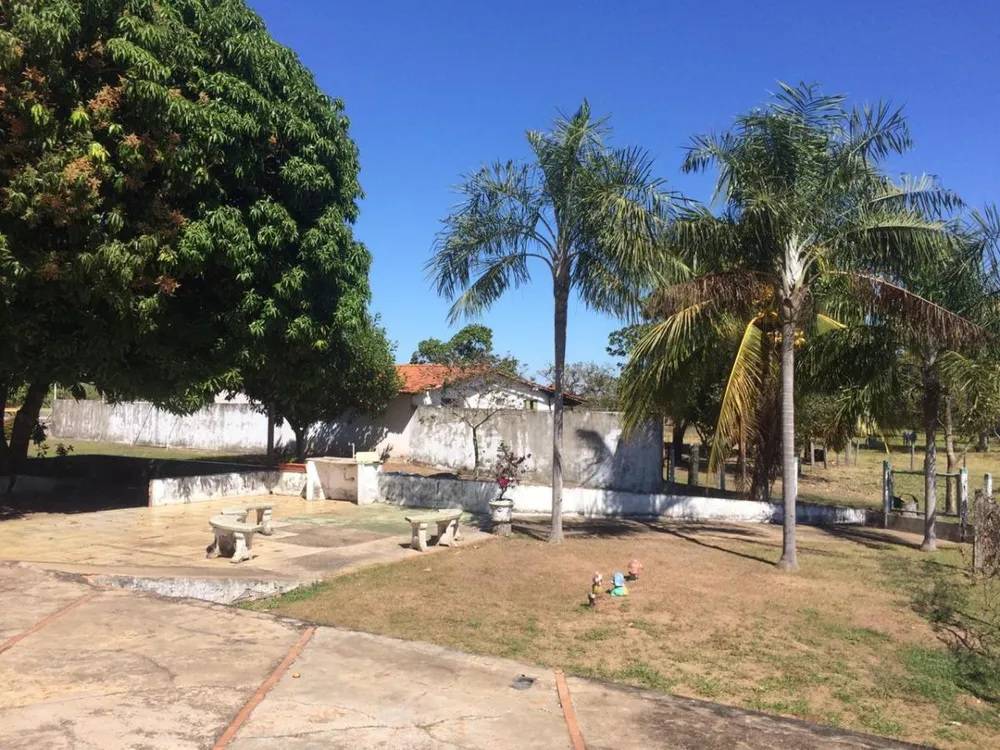 Terreno, 64 hectares - Foto 6