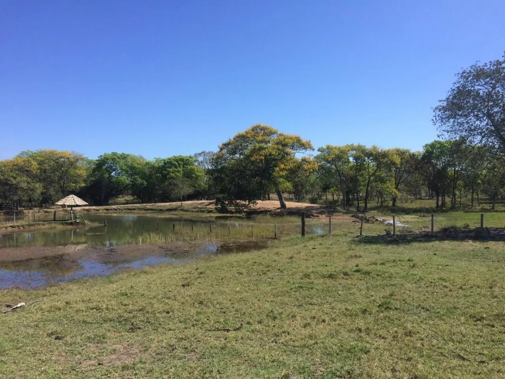 Terreno, 64 hectares - Foto 1