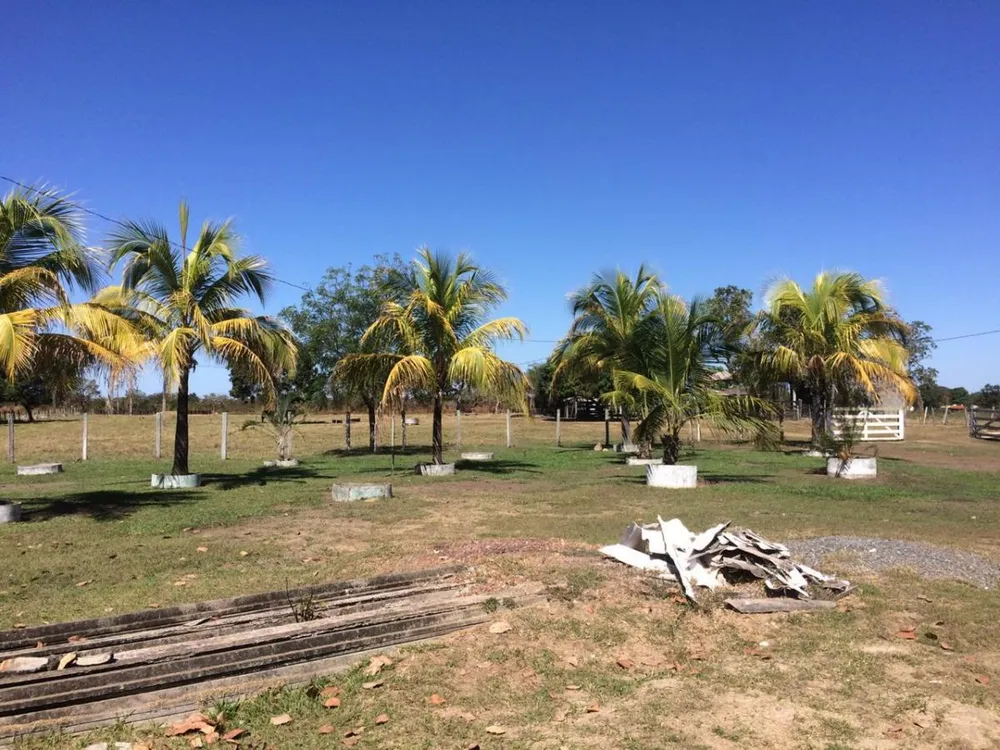 Terreno, 64 hectares - Foto 4