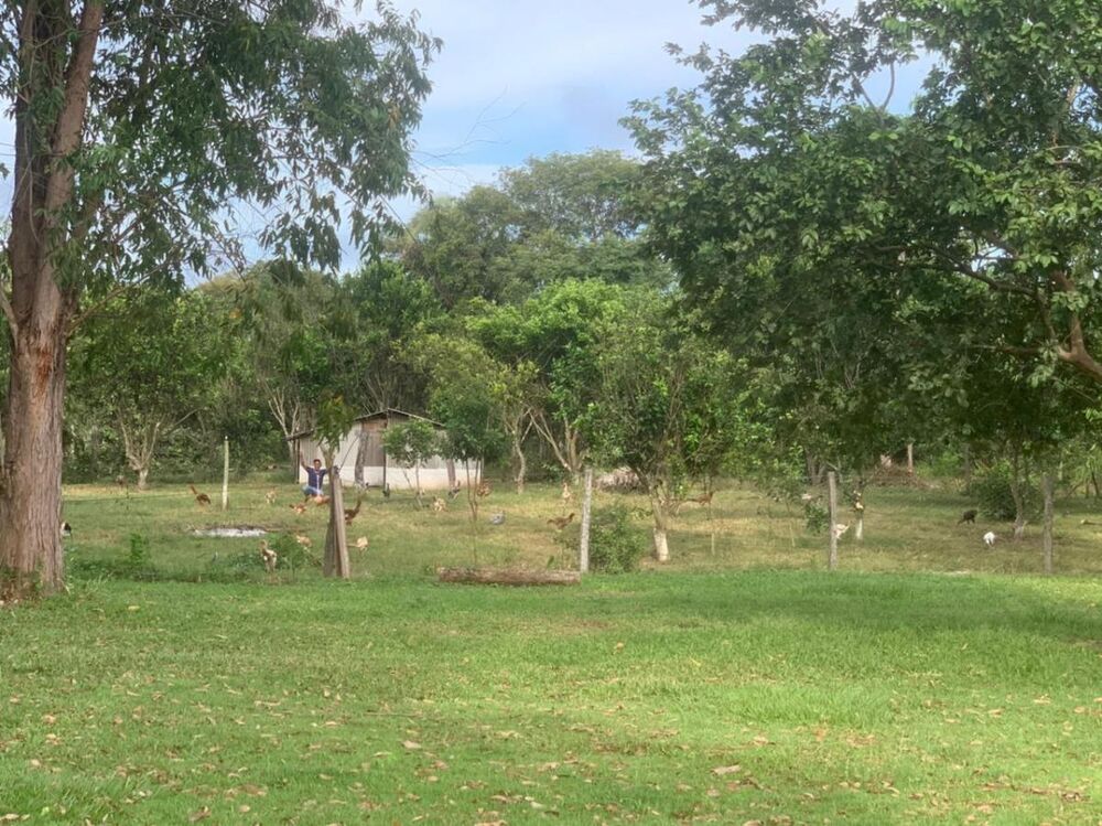 Sítio à venda com 3 quartos, 42m² - Foto 5