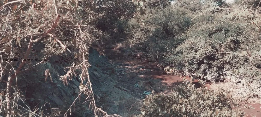 Chácara, 7 hectares - Foto 10