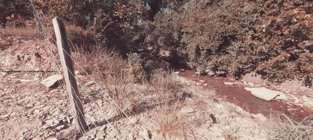 Chácara, 7 hectares - Foto 12
