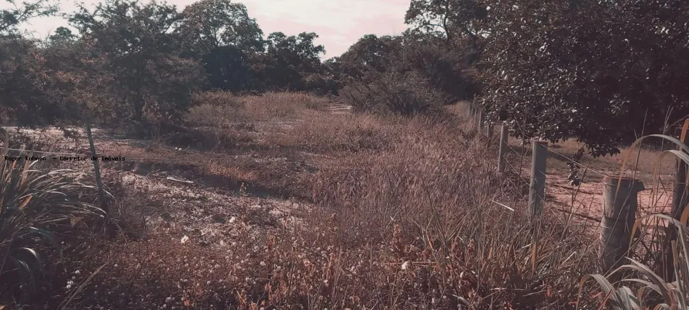 Chácara, 7 hectares - Foto 15