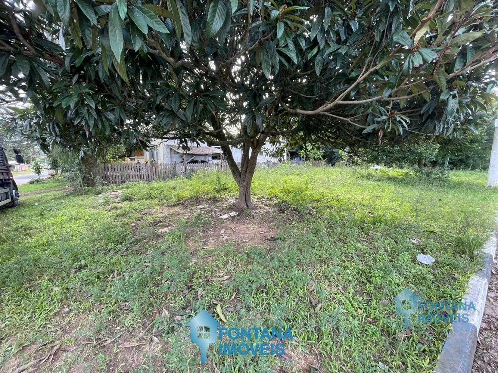 Terreno, 250 m² - Foto 4