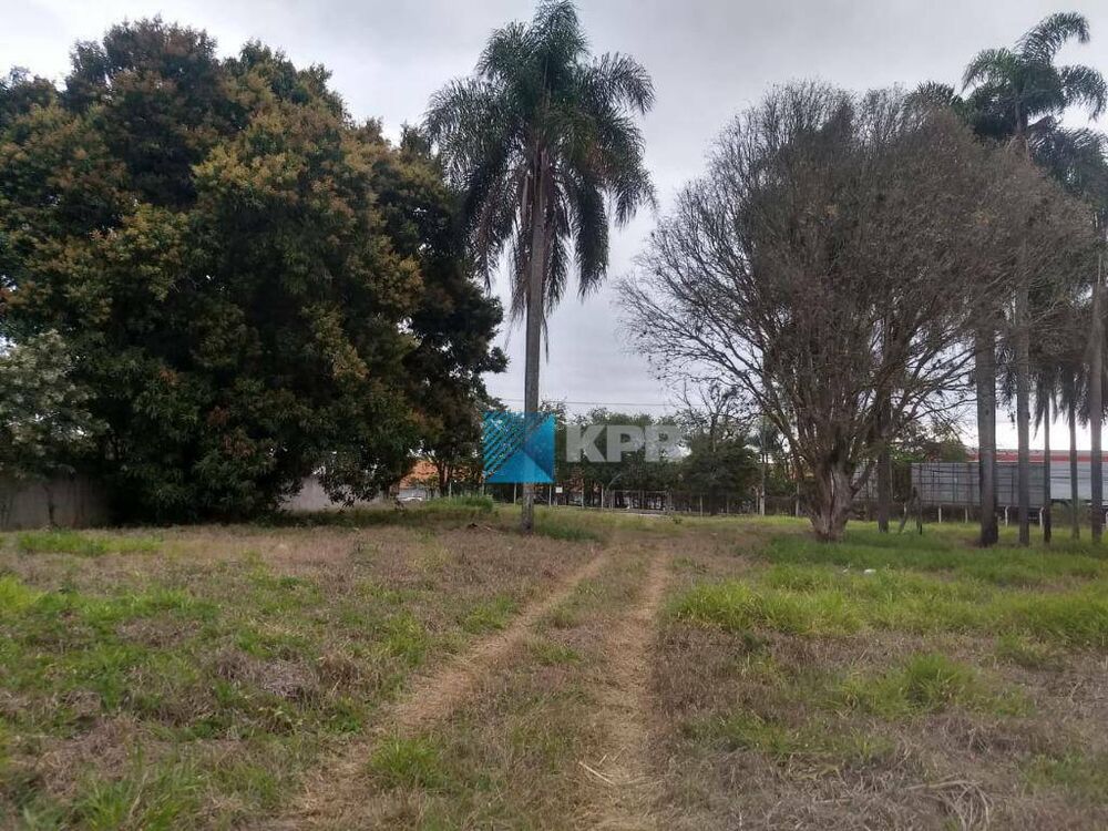 Terreno, 1 hectares - Foto 3