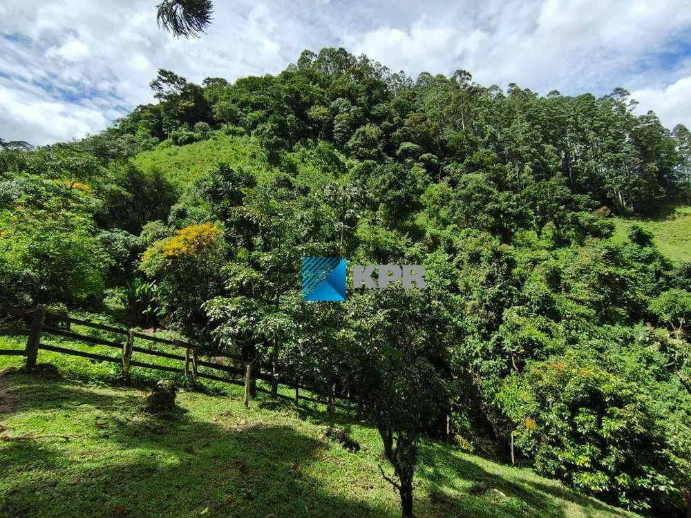 Sítio, 5 hectares - Foto 10