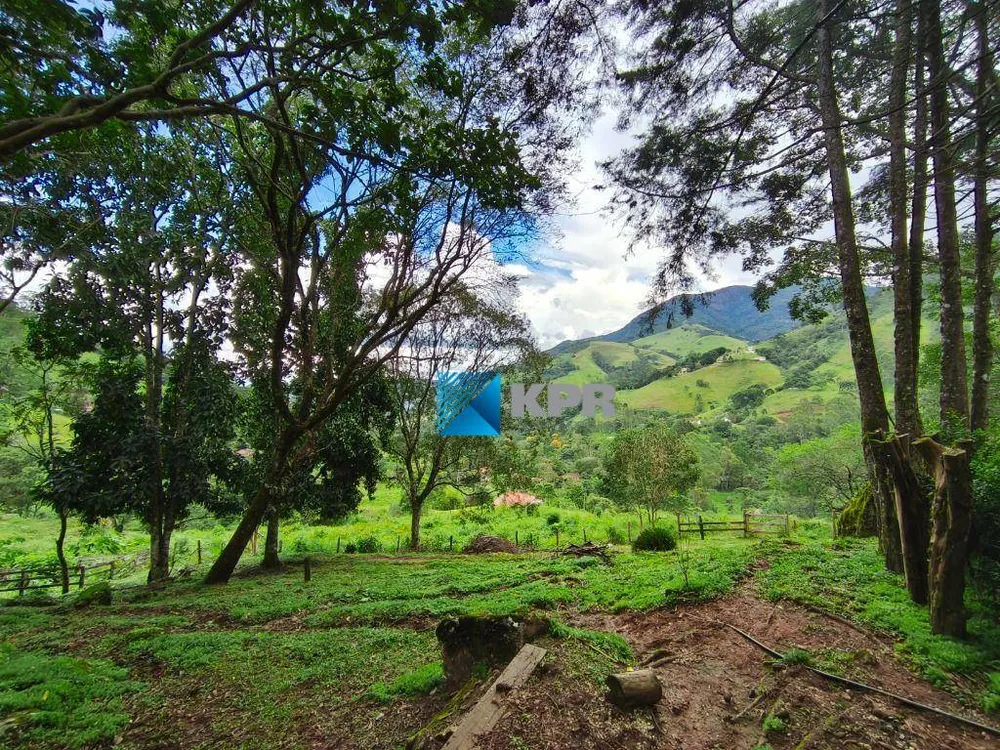Sítio, 5 hectares - Foto 11