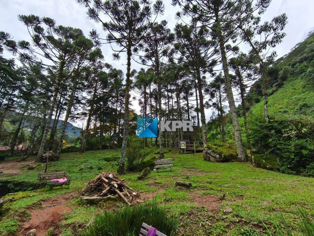 Sítio, 5 hectares - Foto 8