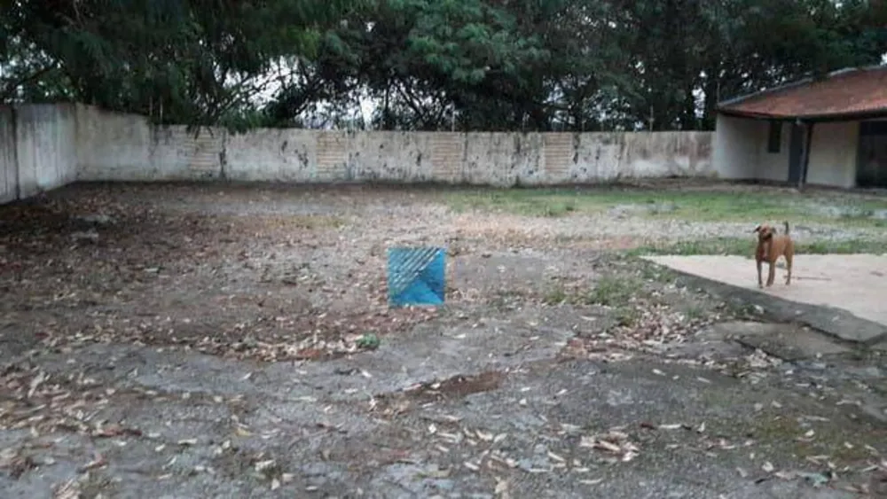 Loja-Salão, 3626 m² - Foto 3