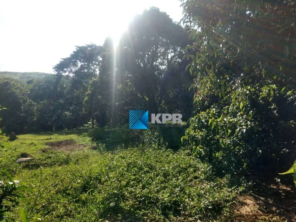Chácara, 9 quartos, 4 hectares - Foto 9