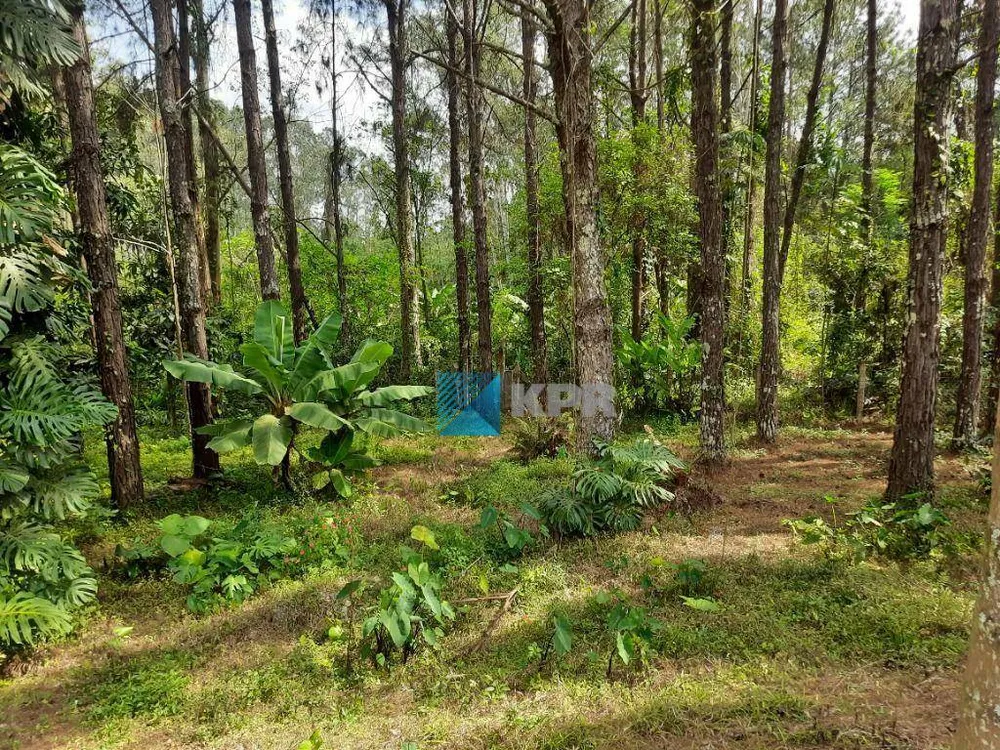 Loteamento e Condomínio, 5000 m² - Foto 4