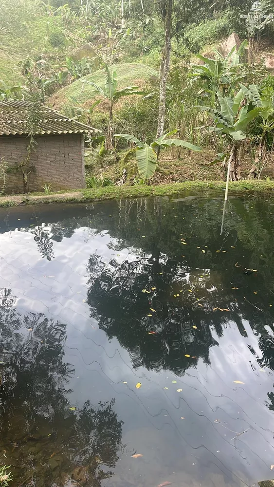 Chácara, 2 quartos, 2000 m² - Foto 4