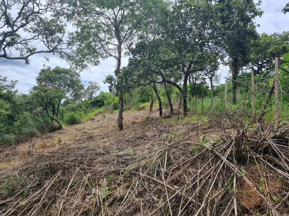 Terreno, 360 m² - Foto 5