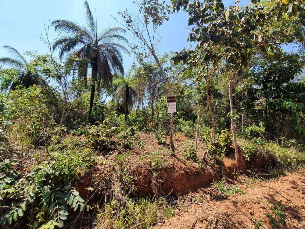 Terreno, 300 m² - Foto 3