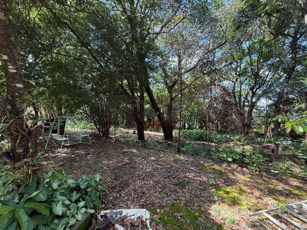 Terreno, 2700 m² - Foto 5