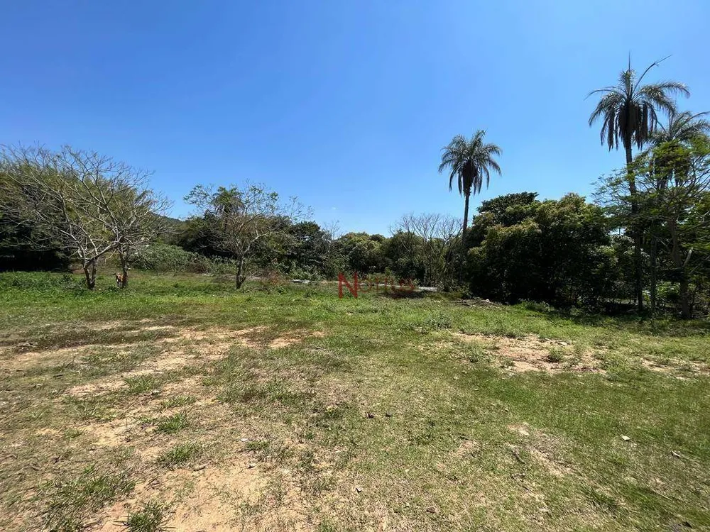 Terreno, 4280 m² - Foto 5