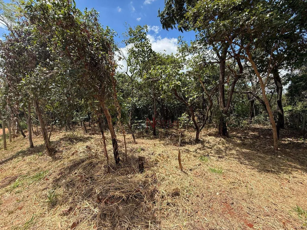 Terreno, 1000 m² - Foto 2