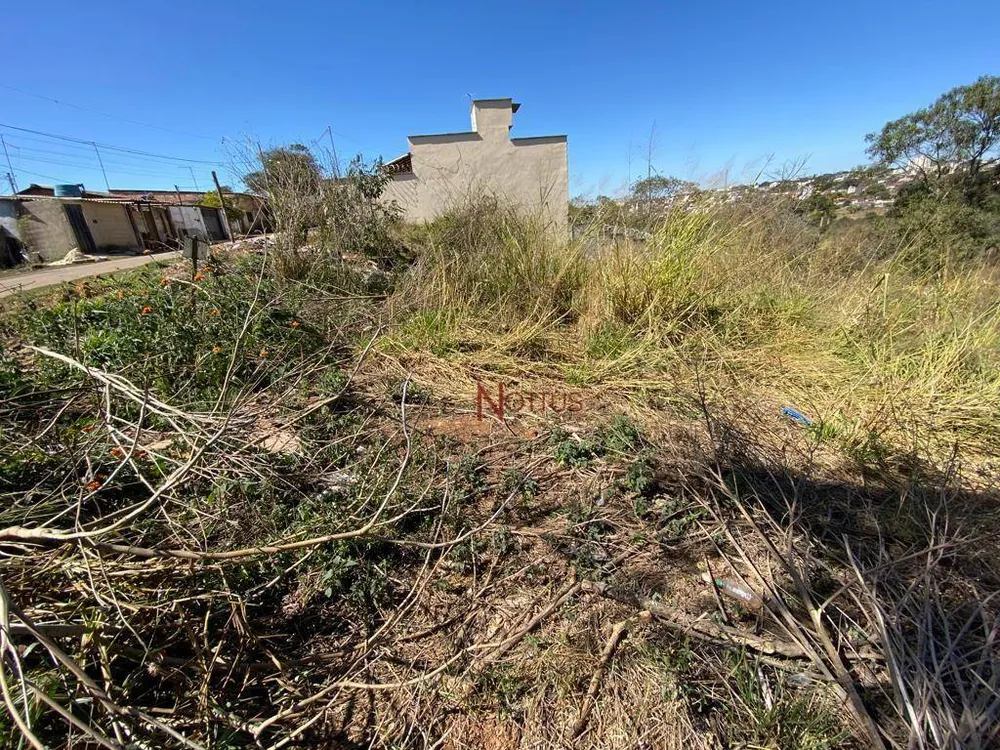 Terreno, 300 m² - Foto 4