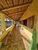 Casa, 4 quartos, 350 m² - Foto 3