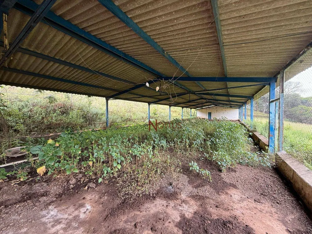 Sítio, 4 quartos, 43 hectares - Foto 7